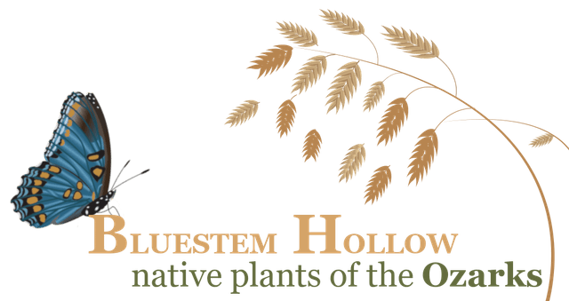 Bluestem Hollow Nursery